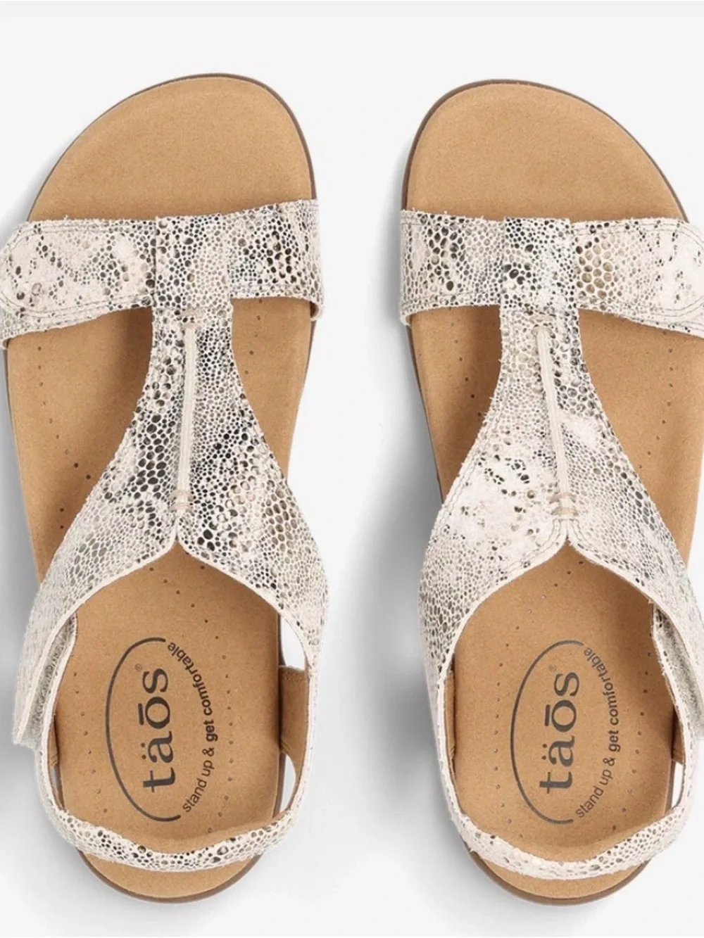 Taos (style) THE SHOW/ (color) BROWN SNAKE